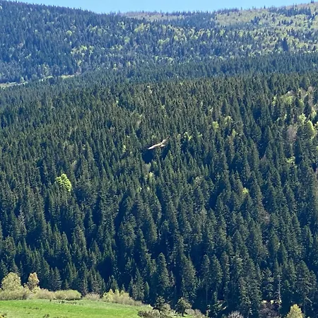 De La Peyramont * Lanarce